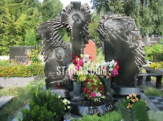 Комплекс DM.39